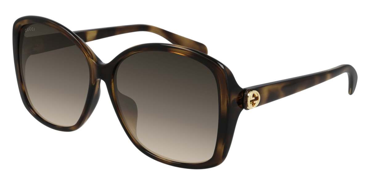 Color: Havana (002) - Gucci GG0950SA00261