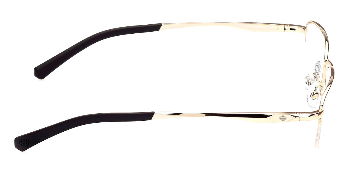 Harley Davidson™ - HD0820