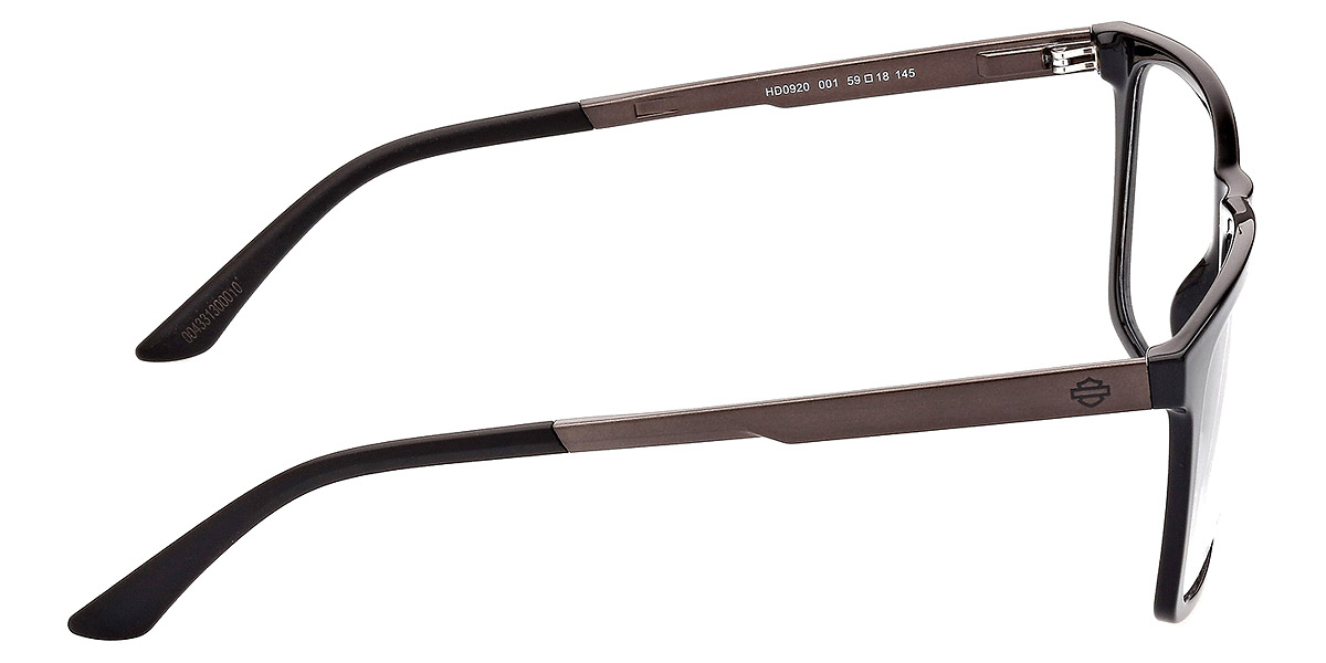 Harley Davidson™ - HD0920