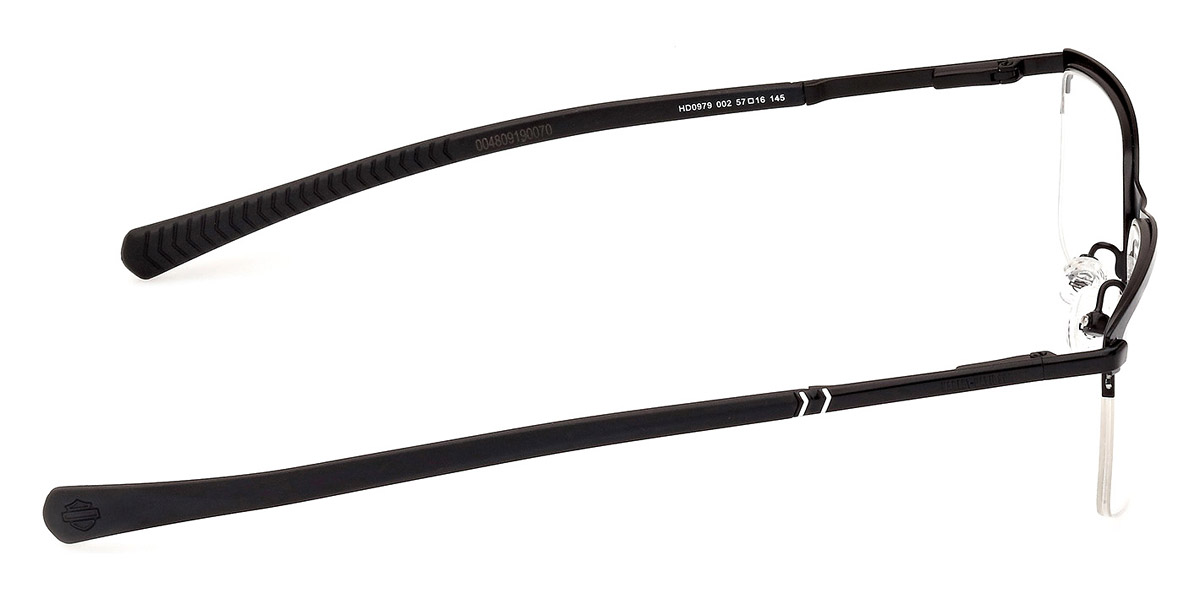 Harley Davidson™ - HD0979