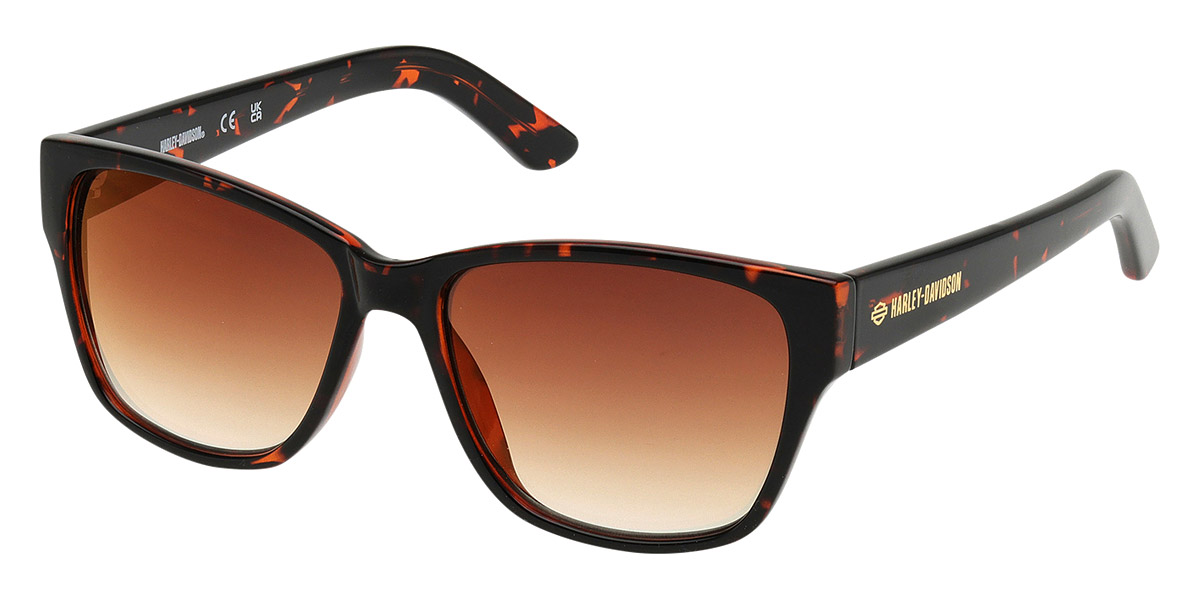 Harley Davidson™ - HM00001