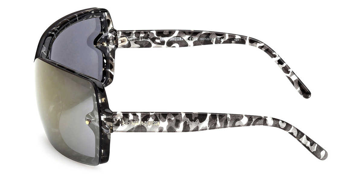 Color: Shiny Gray (05C) - Harley Davidson HZ001705C00