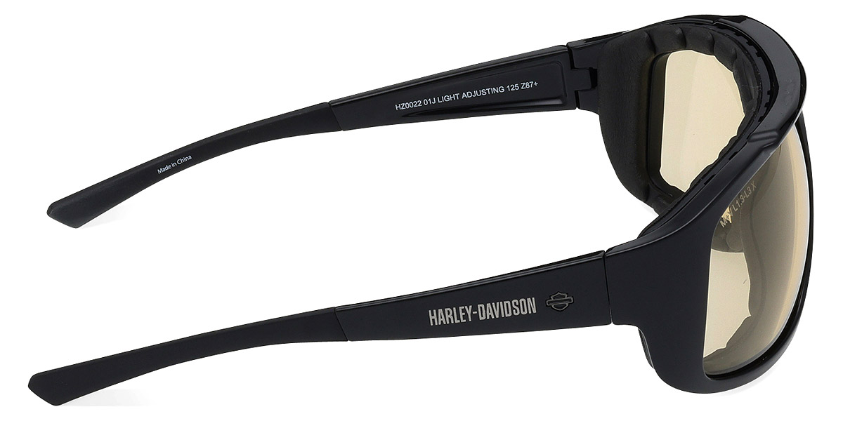 Harley Davidson™ - HZ0022