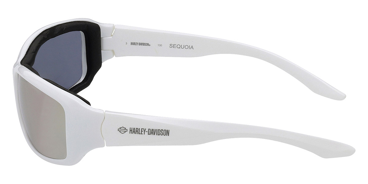 Harley Davidson™ - HZ0027