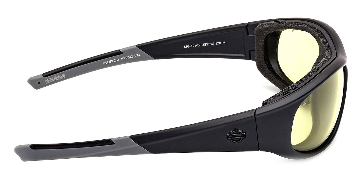 Harley Davidson™ - HZ0042