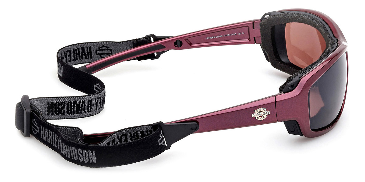 Harley Davidson™ - HZ0044