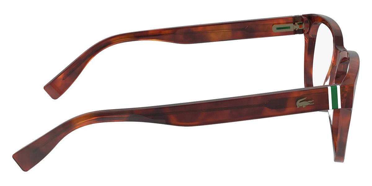 Color: Havana Blonde (218) - Lacoste LACL293721854