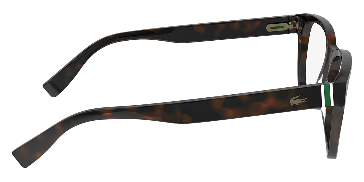Color: Dark Havana (230) - Lacoste LACL293723054
