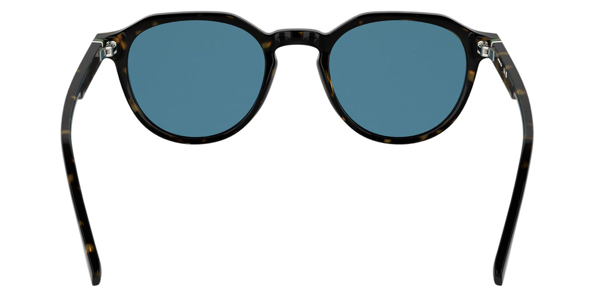Color: Havana (214) - Lacoste LACL6052S21451