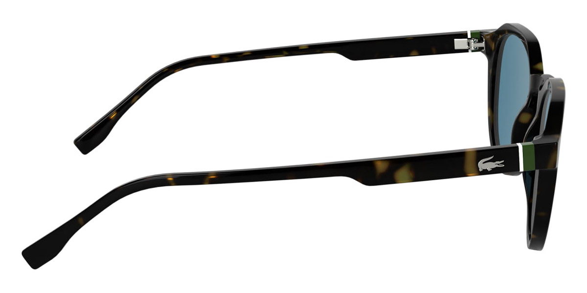 Color: Havana (214) - Lacoste LACL6052S21451