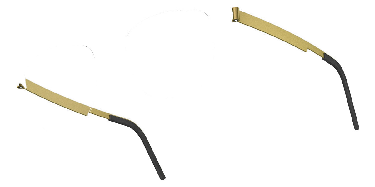 Color: P10 109 - Lindberg Strip Titanium 7000 LND7428P1010952