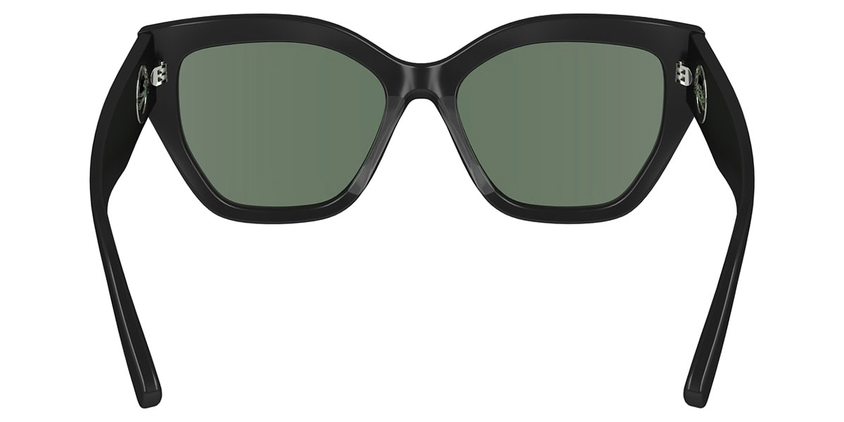 Longchamp™ - LO741S