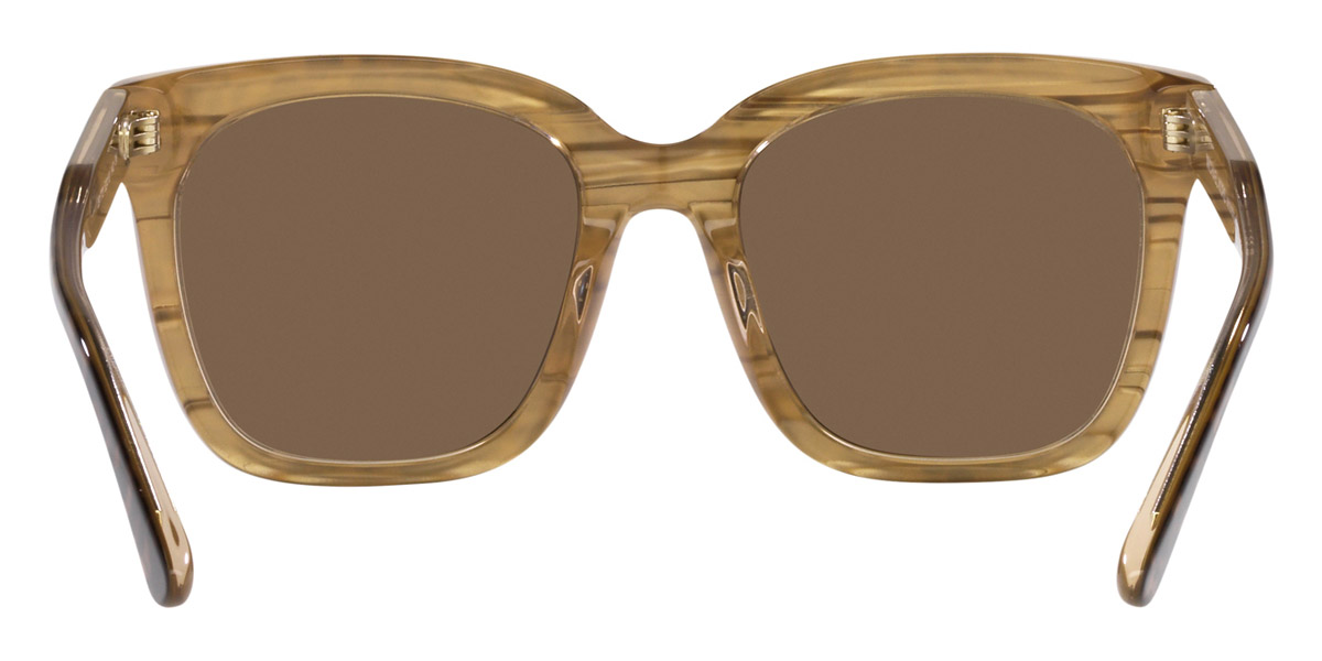 Color: Brown Leopard (391773) - Michael Kors MK216339177352