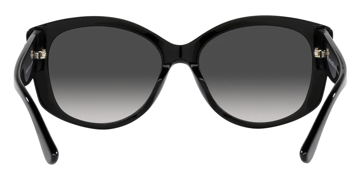 Color: Black Bio (30058G) - Michael Kors MK2175U30058G54