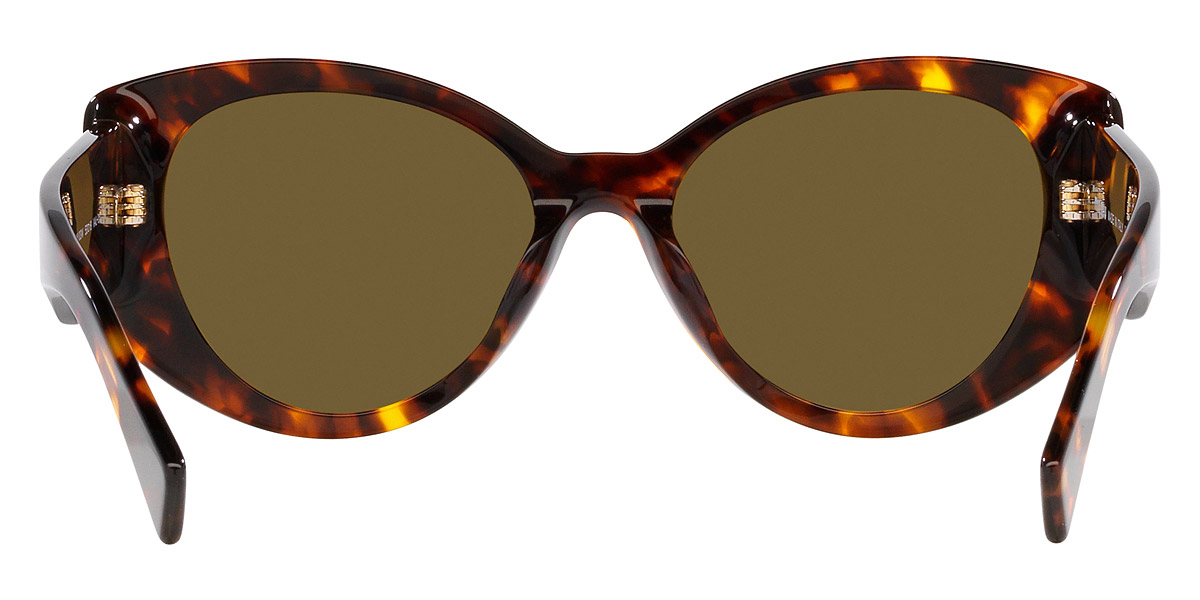 Color: Havana Honey (VAU01T) - Miu Miu MU03WSVAU01T53