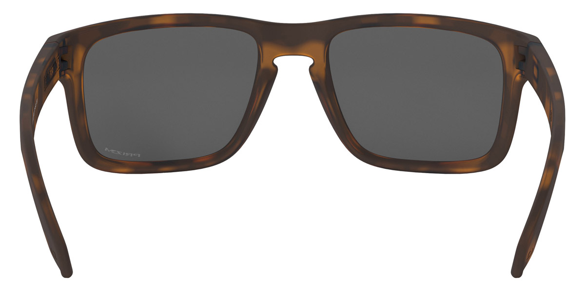 Oakley™ - Holbrook OO9102