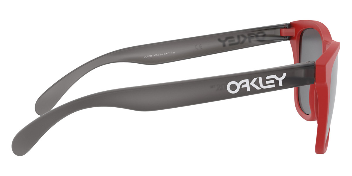 Oakley™ - Frogskins (A) OO9245