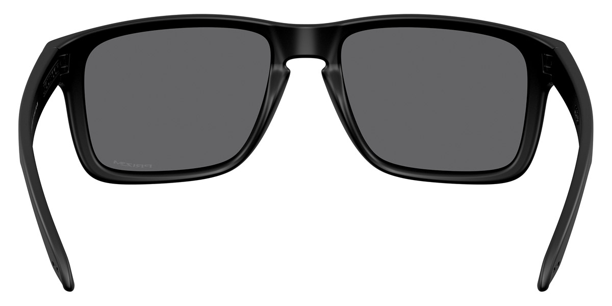 Oakley™ - Holbrook XXL OO9487