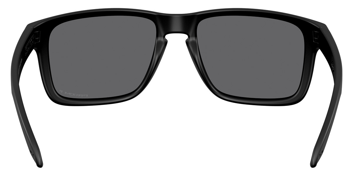 Oakley™ - Holbrook XXL OO9487