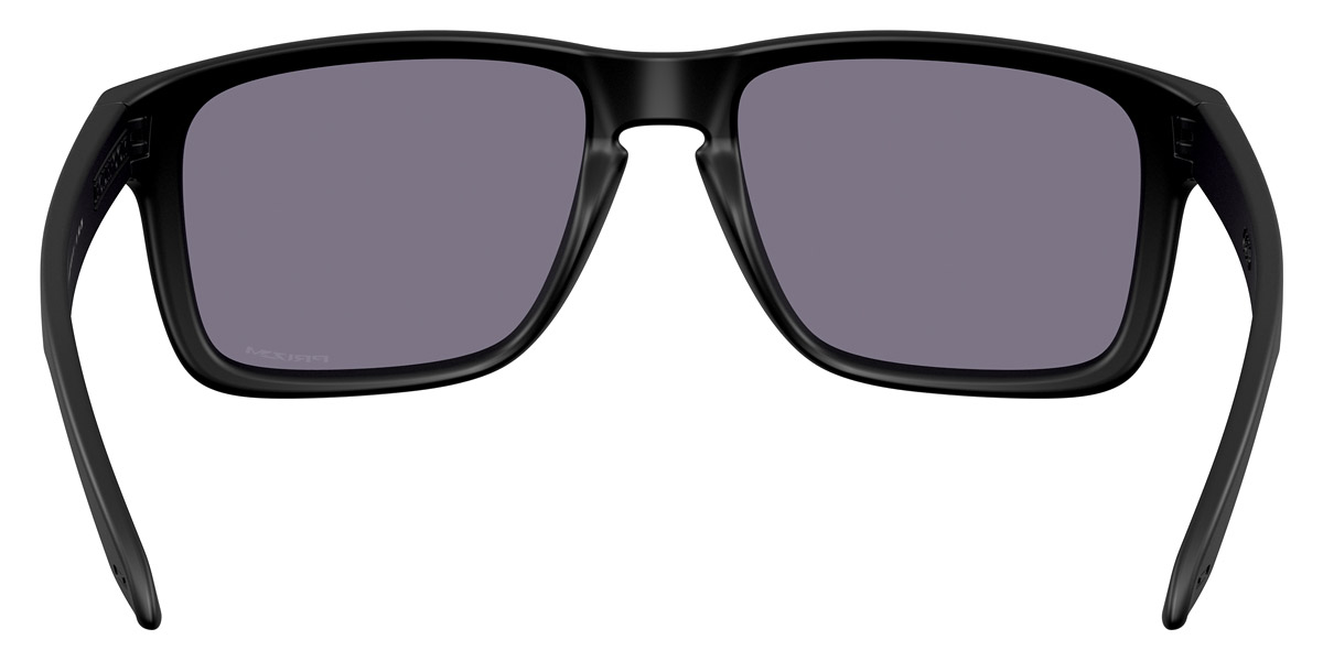 Oakley™ - Holbrook XXL (A) OO9487F