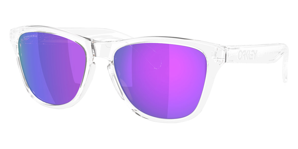 Oakley™ - Frogskins S OO9508