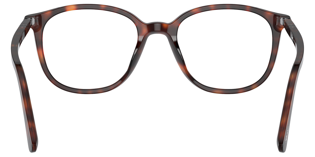 Color: Havana (24) - Persol PO3317V2453