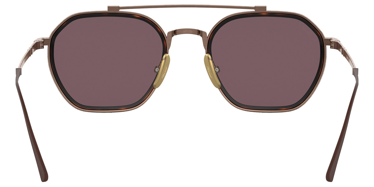 Color: Brown (8016AF) - Persol PO5010ST8016AF51