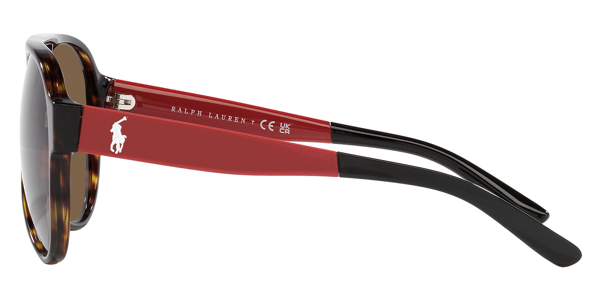 Color: Dark Havana (500373) - Polo PH413050037361