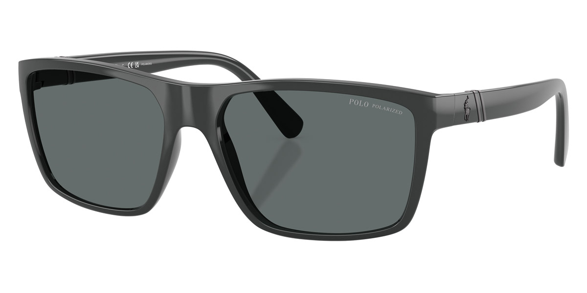 Color: Shiny Dark Gray (558981) - Polo PH413355898159