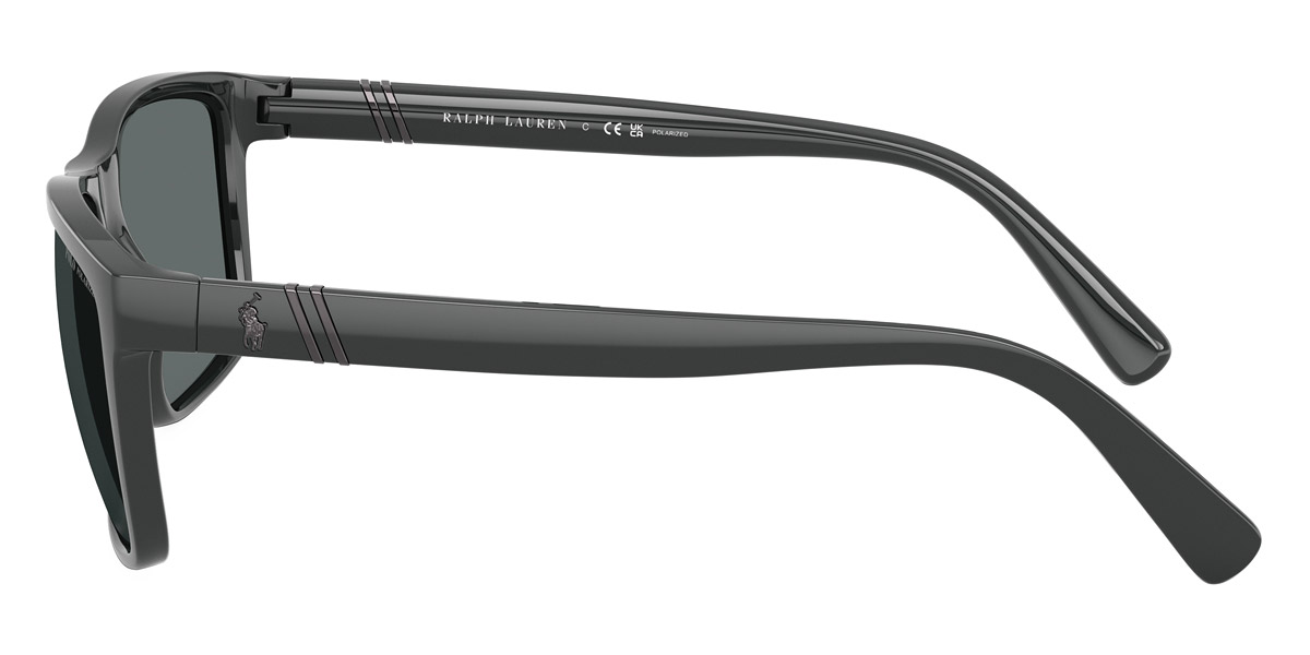 Color: Shiny Dark Gray (558981) - Polo PH413355898159