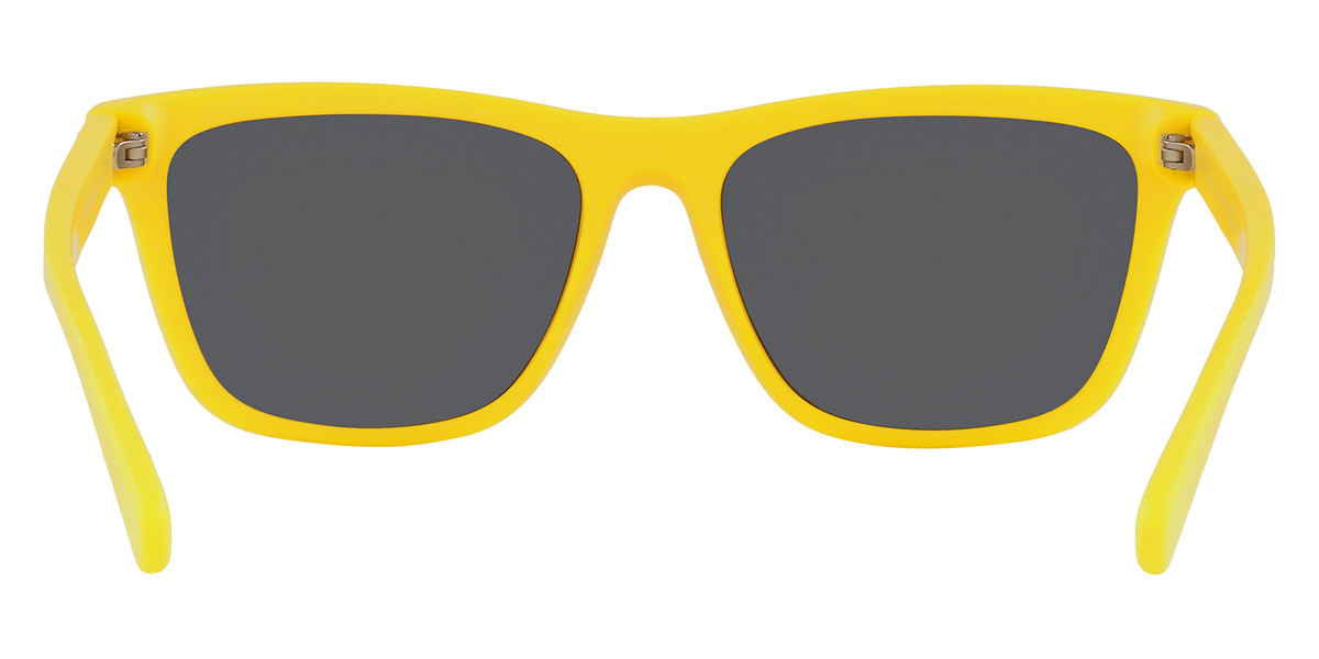 Polo™ - PH4167F