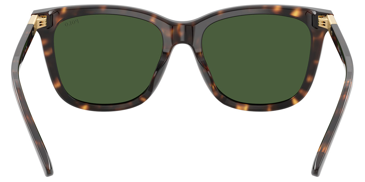 Color: Shiny Dark Havana (500371) - Polo PH4201U50037155