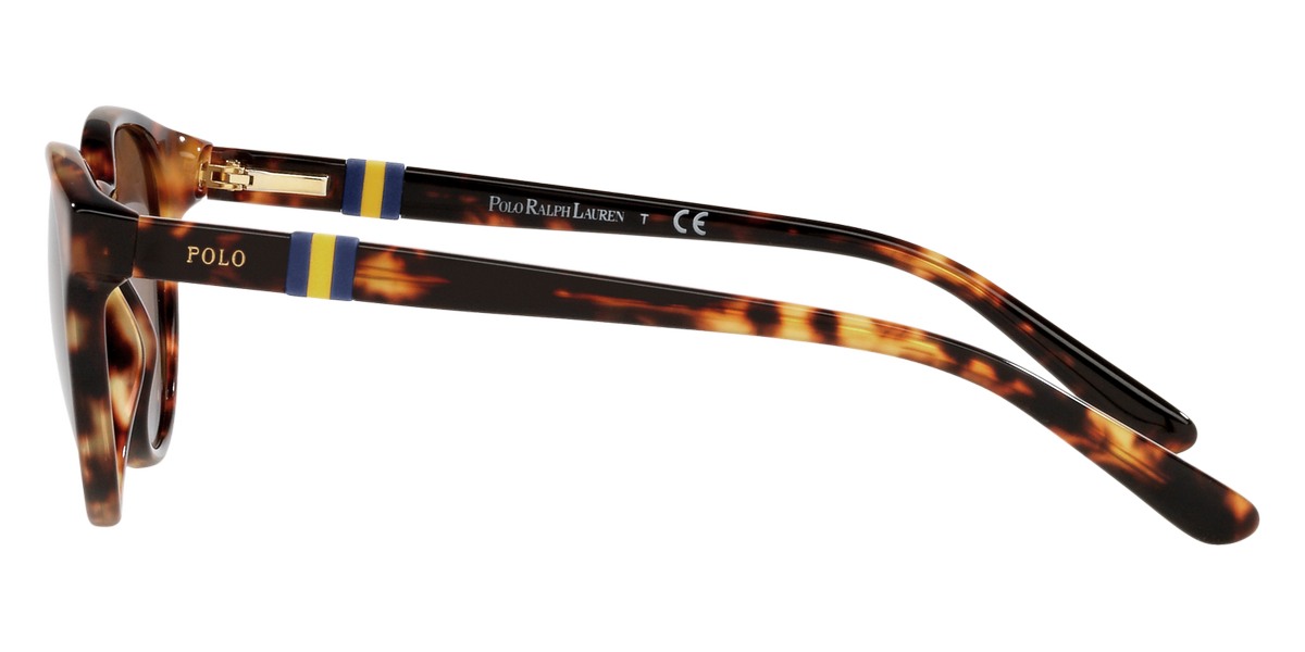 Color: Shiny New Jerry Havana (535173) - Polo PP950253517348
