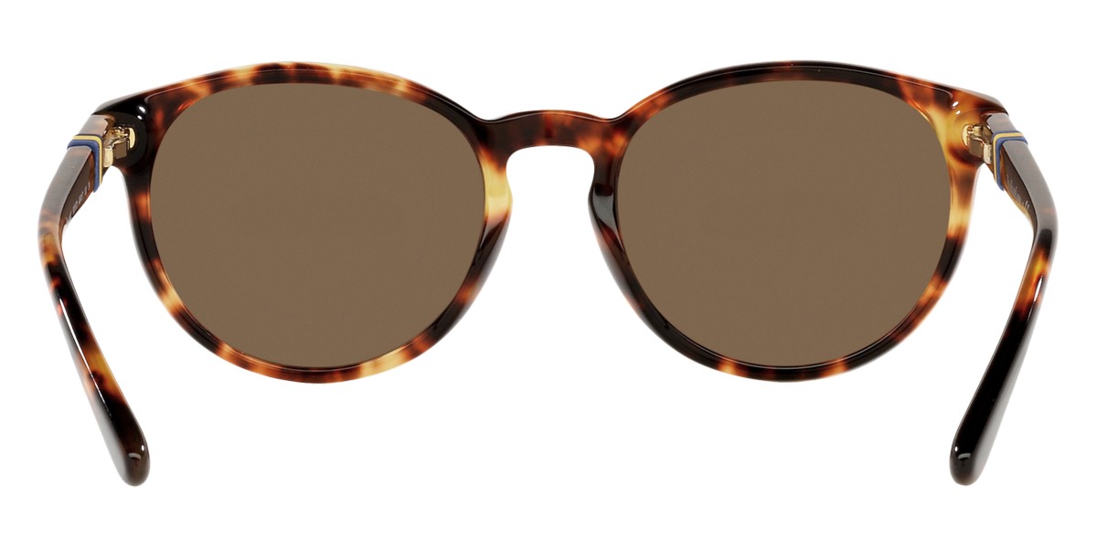 Color: Shiny New Jerry Havana (535173) - Polo PP950253517348