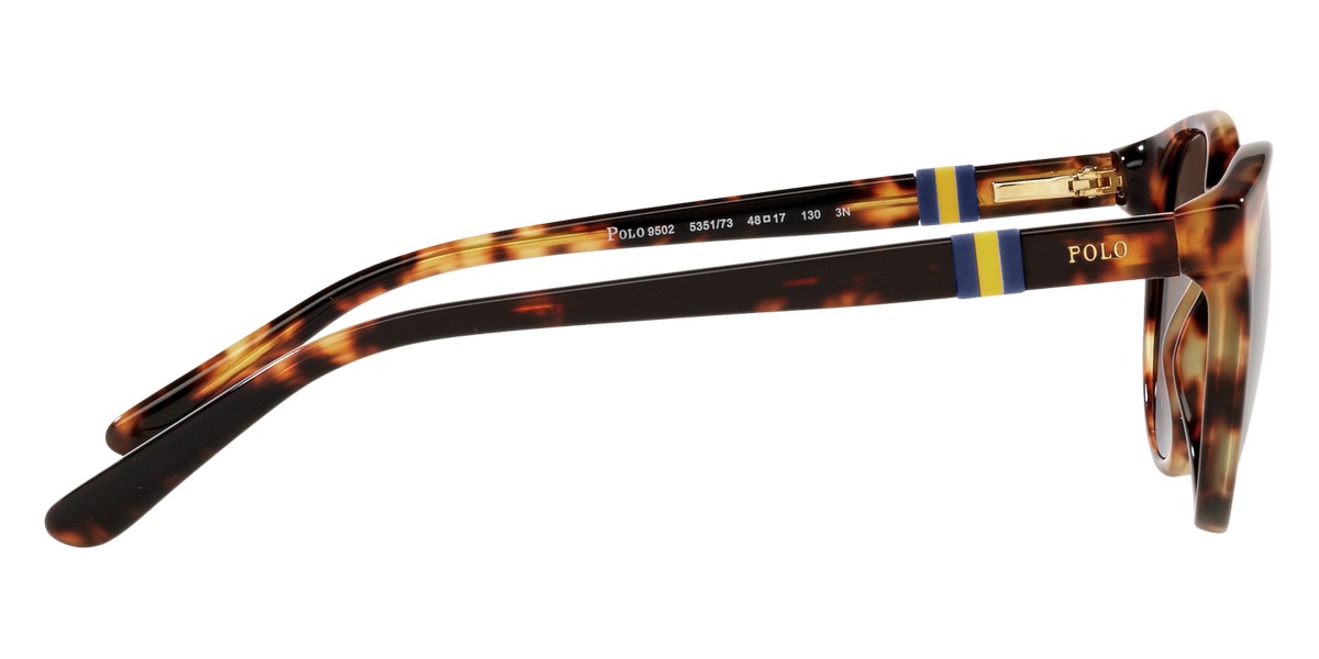Color: Shiny New Jerry Havana (535173) - Polo PP950253517348