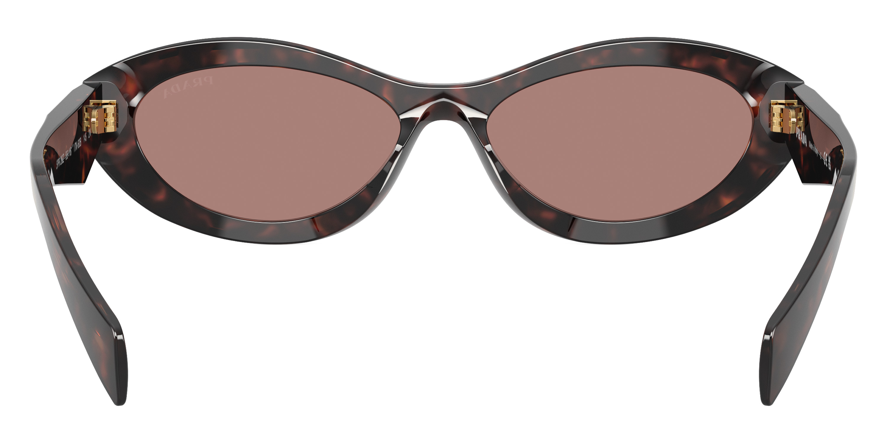 Color: Root Tortoise (17N60B) - Prada PR26ZS17N60B55