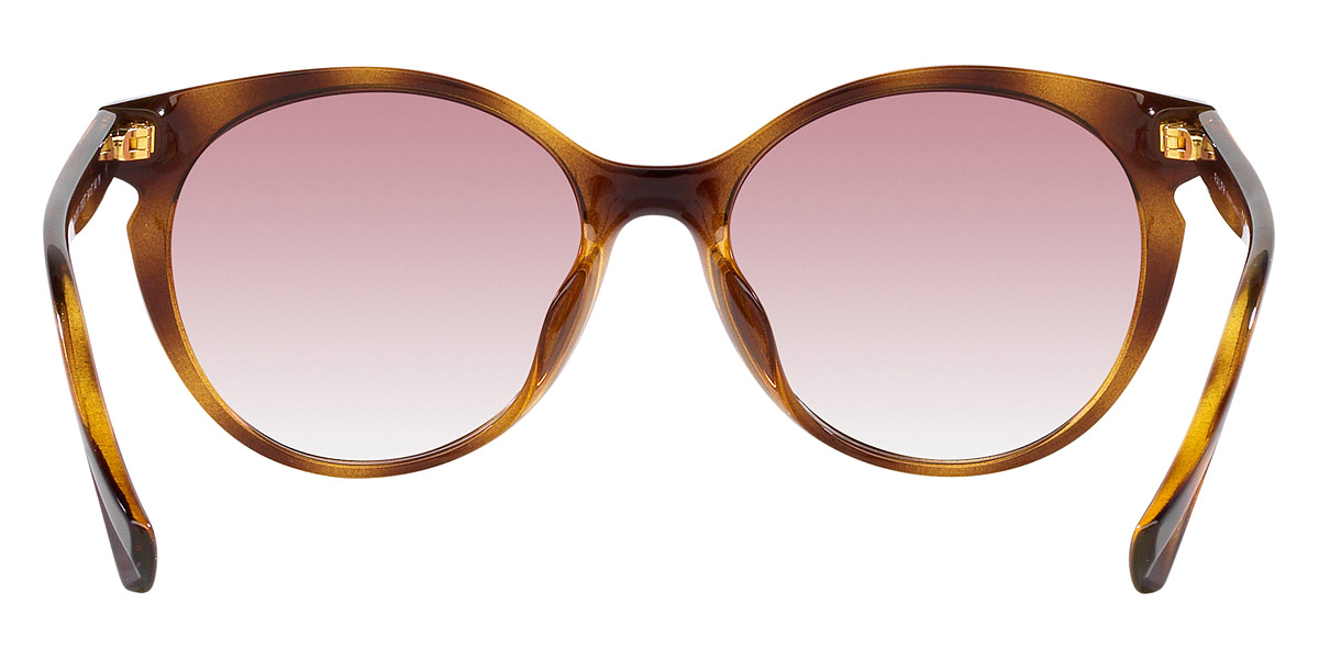 Color: Shiny Dark Havana (500377) - Ralph Lauren RA5285U50037754