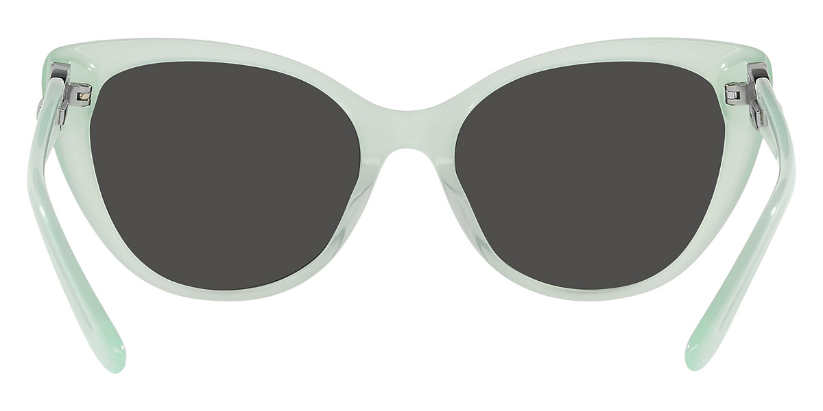 Ralph Lauren™ - RL8215BU