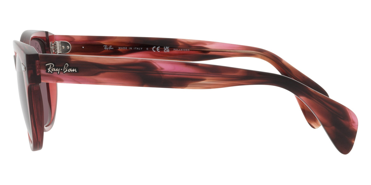 Ray-Ban™ - RB0880S