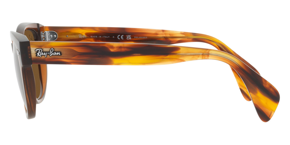 Ray-Ban™ - RB0880S