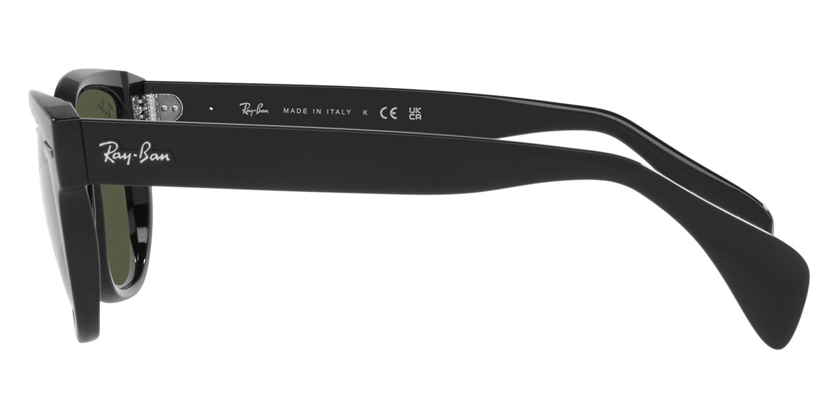 Ray-Ban™ - RB0880S