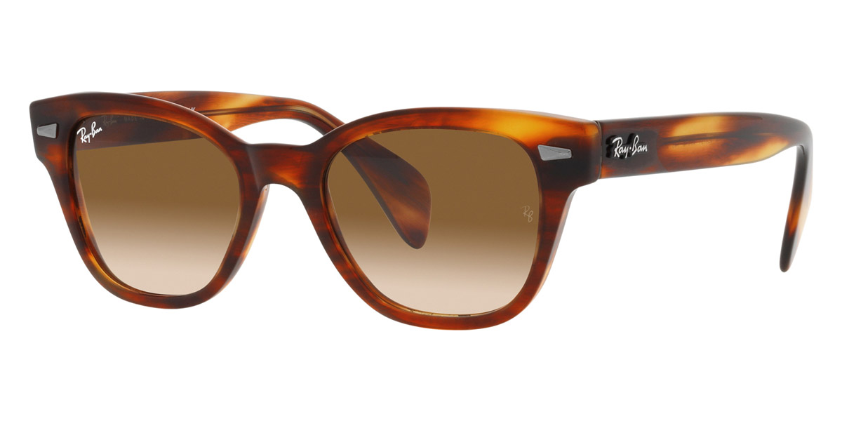 Ray-Ban™ - RB0880S