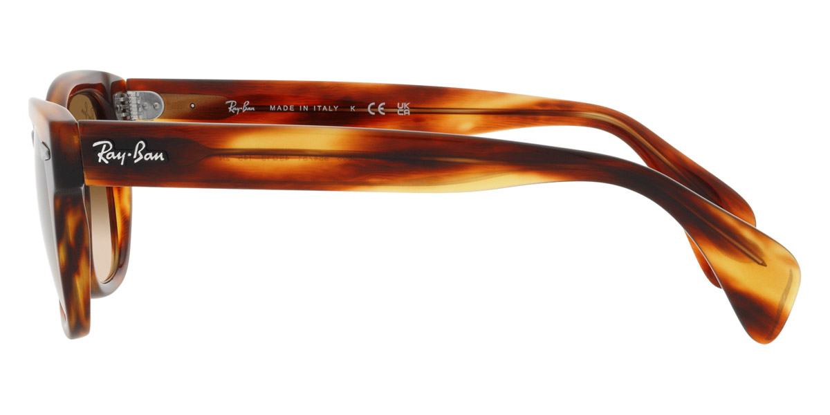 Ray-Ban™ - RB0880S