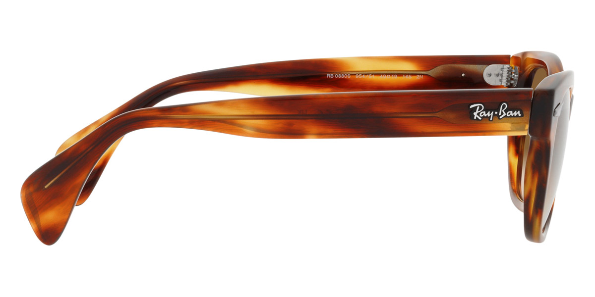 Ray-Ban™ - RB0880S