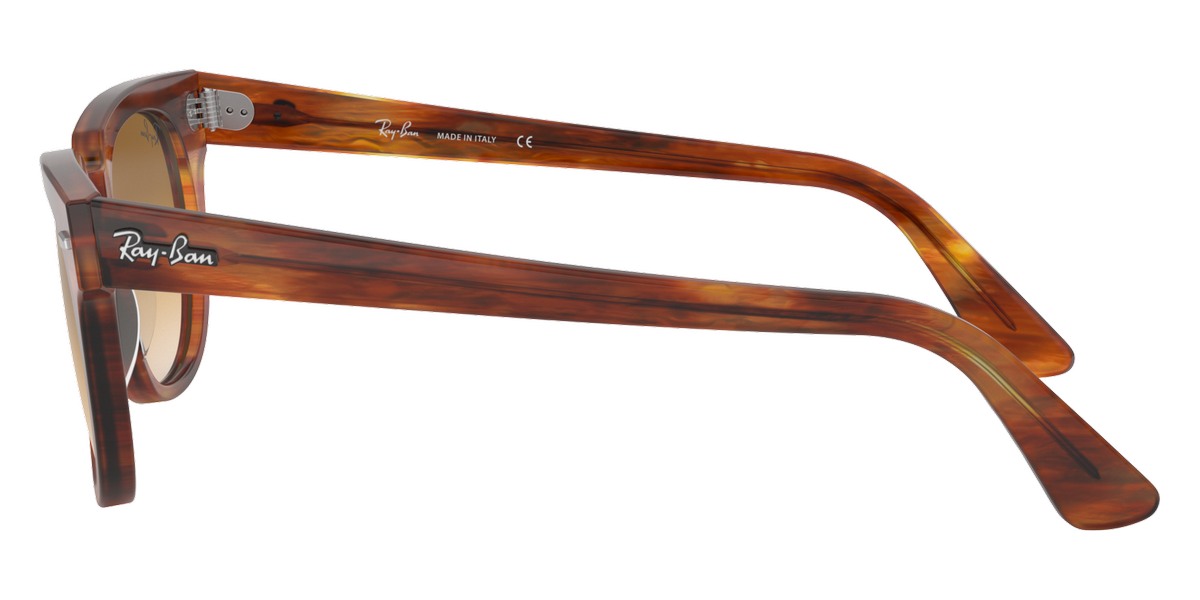 Ray-Ban™ - Meteor RB2168