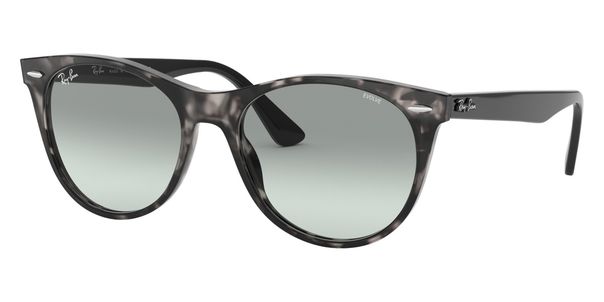 Ray-Ban™ - Wayfarer Ii RB2185