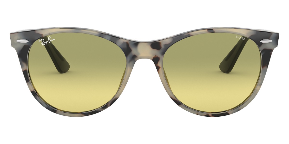 Ray-Ban™ - Wayfarer Ii RB2185