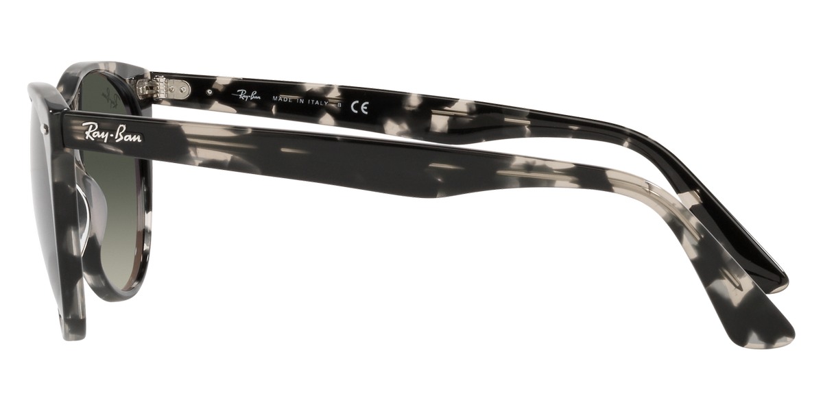 Ray-Ban™ - Wayfarer Ii RB2185