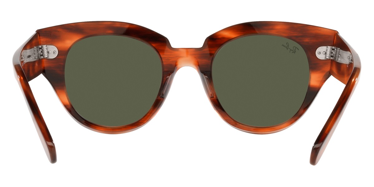 Ray-Ban™ - Roundabout RB2192F