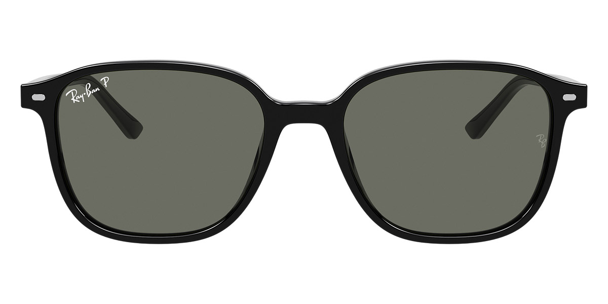 Ray-Ban™ - Leonard RB2193